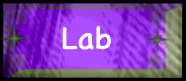 Lab